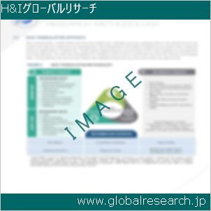 グローバルリサーチ調査レポートのイメージ